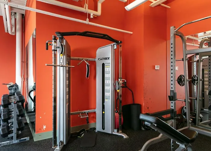 Cozy Downtown Mich Ave Gym And Rooftop #7 * Chicago